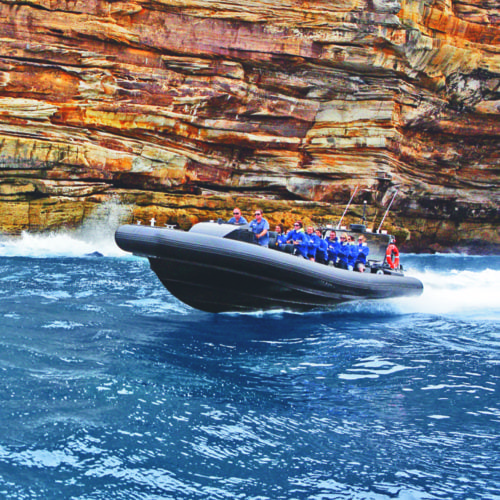 Ocean Extreme rigid-inflatable boat (RIB) in Sydney