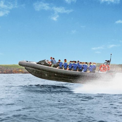 Ocean Extreme rigid-inflatable boat (RIB) in Palm Beach